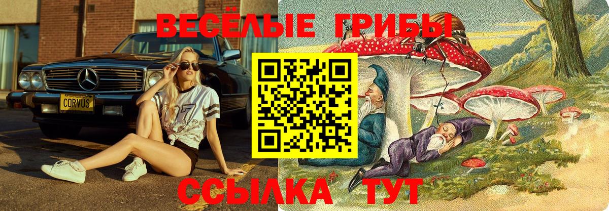 Псилоцибиновые грибы Psilocybe Кумертау